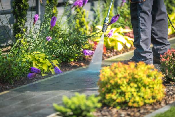 Best Spring Cleaning  in South Gate Ridge, FL