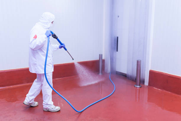 Best Driveway Pressure Washing  in South Gate Ridge, FL