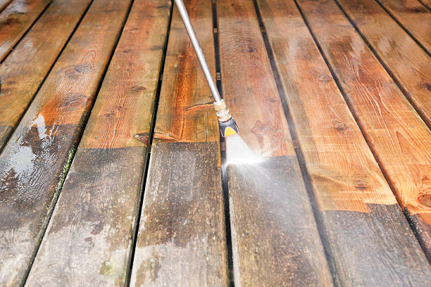 Best Fence Cleaning  in South Gate Ridge, FL